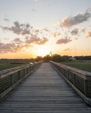 Image post by @southcarolina on Instagram