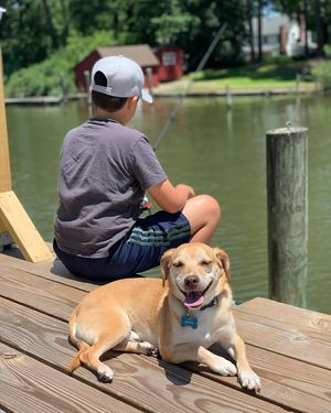 Image post by @pupcorntreats on Instagram