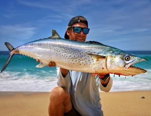 Image post by @cabosurfcaster2 on Instagram