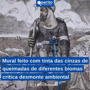 Image post by @operitoambiental on Instagram