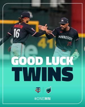 Image post by @mnaurorafc on Instagram