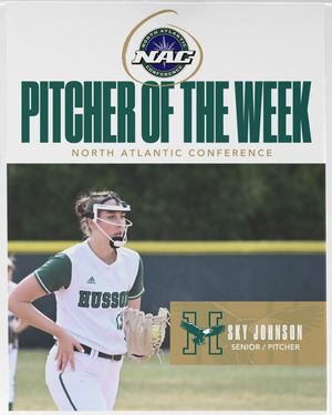 Image post by @hussonsoftball on Instagram