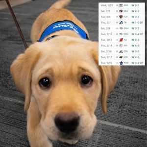 Image post by @stlbluespup on Instagram