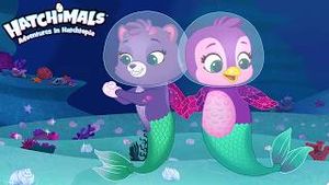 Video post by @hatchimals on YouTube