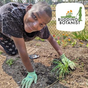 Image post by @kidsgardening on Instagram