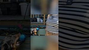 Video post by @bettertogetherlife on YouTube