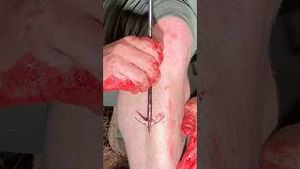 Video post by @Bowmar Bowhunting on YouTube