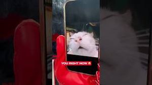Video post by @texanstoro1 on YouTube