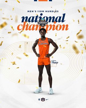 Image post by @auburntfxc on Instagram