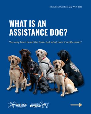 Image post by @guidedogfoundation on Instagram
