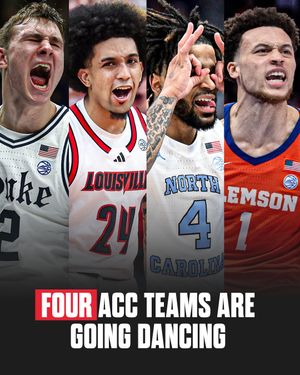 Video post by @accnetwork on TikTok