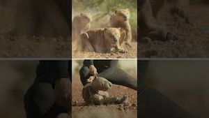 Video post by @appletv on YouTube