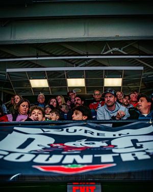 Image post by @ohlicedogs on Instagram