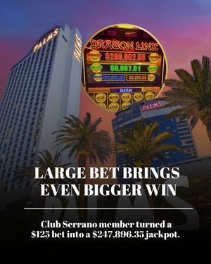 Image post by @palms on Instagram