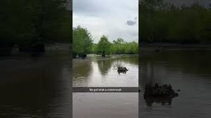 Video post by @barstooloutdoors on YouTube