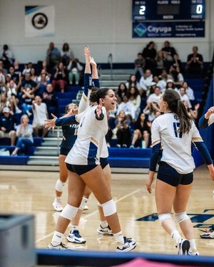 Image post by @raytrykacreative on Instagram