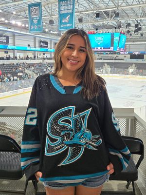 Image post by @womenofhockeysj on Instagram