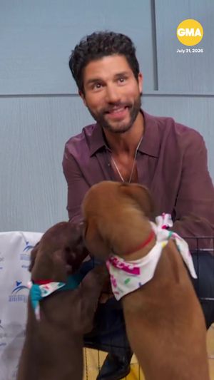 Video post by @gma on TikTok
