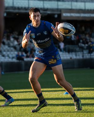 Image post by @theparraeels on Instagram