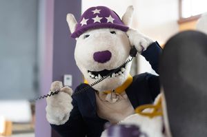 Image post by @lsua.etl on Instagram