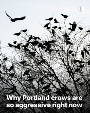 Image post by @theoregonian on Instagram