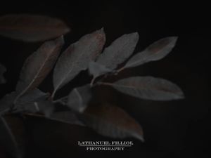 Image post by @lathanuelf_photos on Instagram