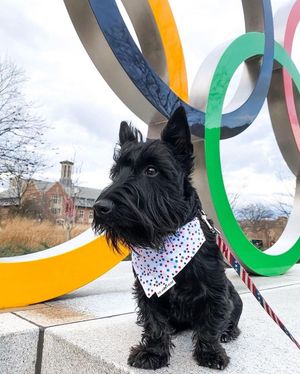 Image post by @olympics on Instagram