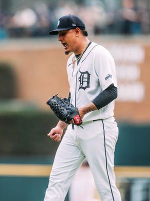 Image post by @tigers on Instagram