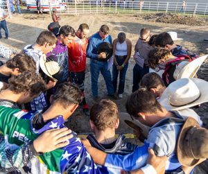 Image post by @ultimatebullfighters on Instagram