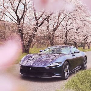 Image post by @ferrari on Instagram