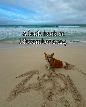 Image post by @ziggy_thecorg on Instagram