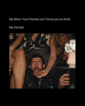 Image post by @v5group on Instagram