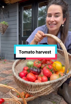 Video post by @gardeningwithlou on TikTok
