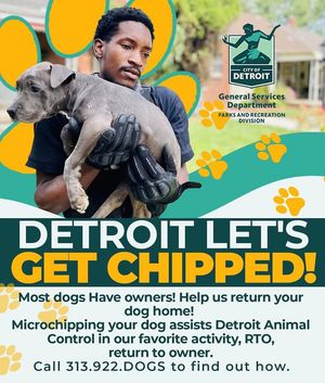 Image post by @DetroitGSD on Facebook