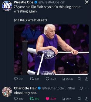 Image post by @thewrestlingclassic on Instagram