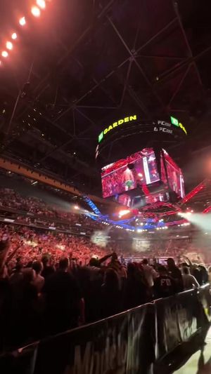 Video post by @ufc on TikTok
