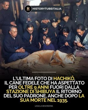 Image post by @historytubeitalia on Instagram