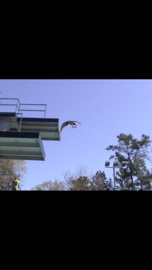 Video post by @lala_the_diver on Instagram
