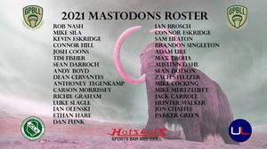 Image post by @mo_mastodons on Instagram