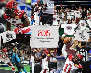 Image post by @jaxsharks on Instagram