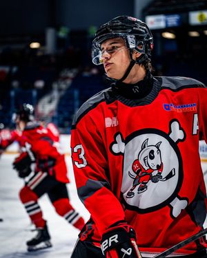 Image post by @ohlicedogs on Instagram
