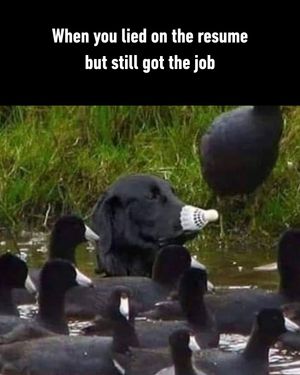 Image post by @9gag on Instagram