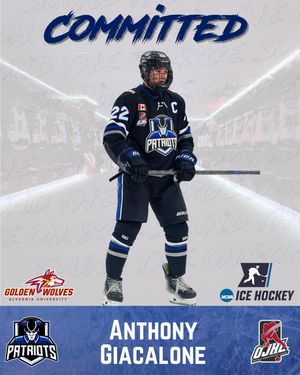 Image post by @ojhlpatriots on Instagram
