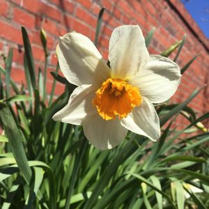 Image post by @ahs_gardening on Instagram
