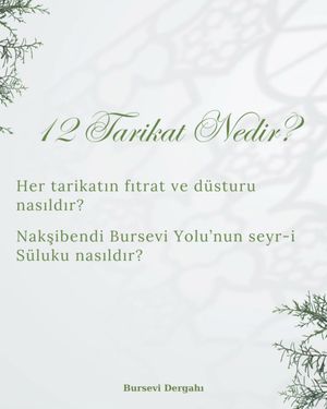 Image post by @naksibendibursevi on Instagram
