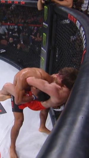 Image post by @pflmma on Instagram