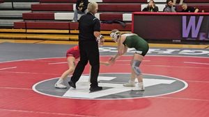 Image post by @sophie_dog922 on Instagram