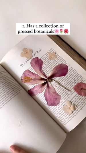 Video post by @leafyaffair on Instagram