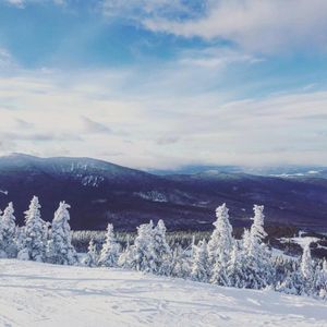 Image post by @themainemag on Instagram