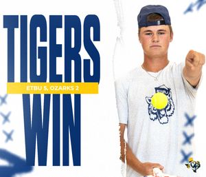 Image post by @goetbutigers on Instagram